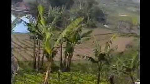 Dedy Krisna - Ulah Ceurik