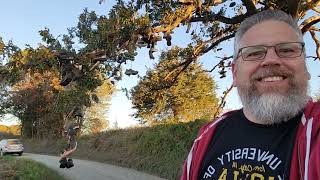 A Shoe Tree... Wish I Could Remeber Where It Was.