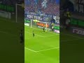Hamburg PROMOTED to the Bundesliga! #soccer #football #shorts