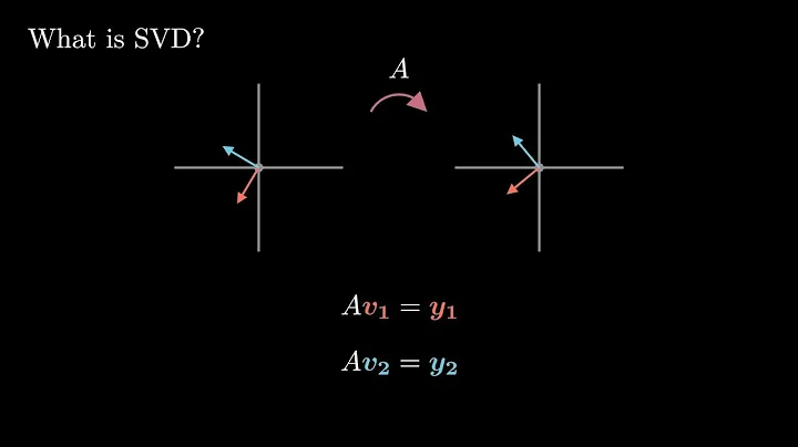 What is the Singular Value Decomposition?