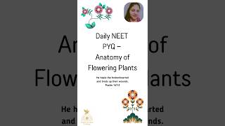 Daily NEET PYQ - Anatomy of Flowering Plants (NEET 2020) #day105 #neet2026biology #class11biology