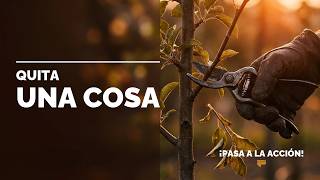 Por qué tu negocio no crece (y cómo arreglarlo con una resta)