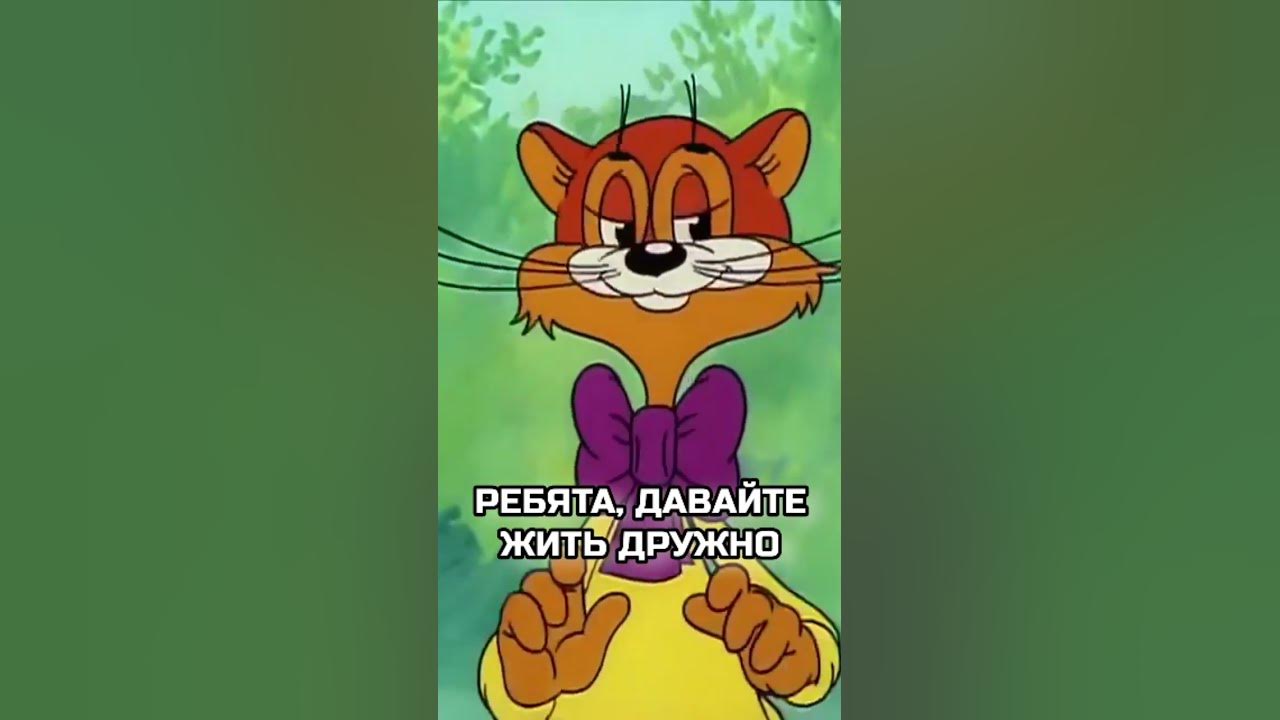 Леопольд: Ребята, давайте жить дружно! #shortsvideo #shortvideo #shorts ...