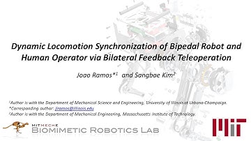 Dynamic locomotion synchronization via bilateral feedback teleoperation