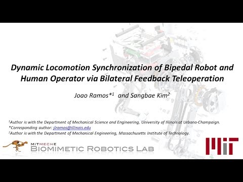 Dynamic locomotion synchronization via bilateral feedback teleoperation