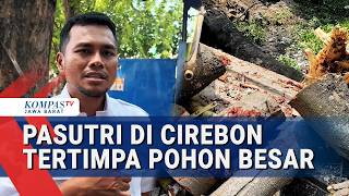 Fallen Tree Hits Married Couple, Causing Severe Injuries
