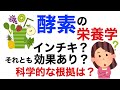 酵素の栄養学。酵素ドリンクってインチキ？それとも効果ある？酵素サプリはどうなの？【栄養チャンネル信長】