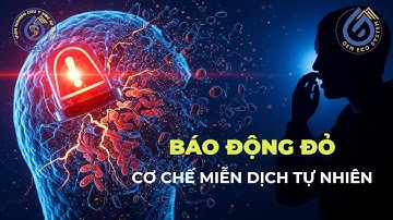 Giải mã "Báo động đỏ cơ chế miễn dịch tự nhiên": Bí mật bảo vệ cơ thể bạn khỏi mọi bệnh tật