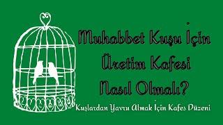 MUHABBET KUŞU ÜRETİM KAFESİ NASIL OLMALI - Kafes Düzeni