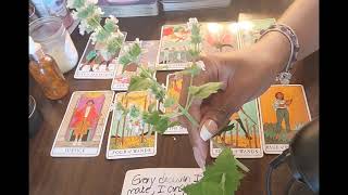 Cancer:  QUEEN OF PURE ESSENCE- Prayers are being answered for you and someone else!