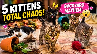 The 5 Kittens Took Over Our Backyard… and Total Chaos Happened! 😹