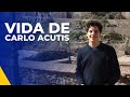 ¿QUÉ NOS ENSEÑA LA VIDA DE CARLO ACUTIS?