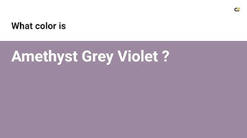 Amethyst Grey Violet color #9c89a1 hex color - Violet color - Cool color 9c89a1