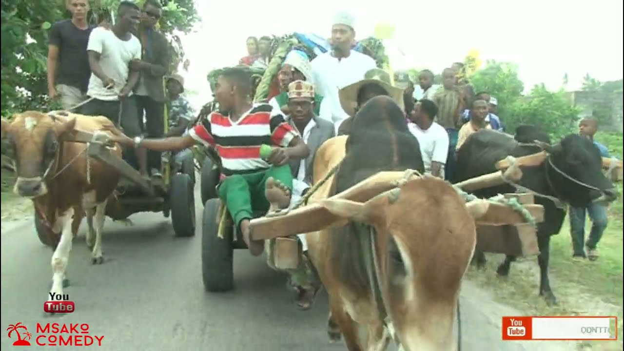 HARUSI YA KIGWARU #YAVUNJA__RECORD_PEMBA