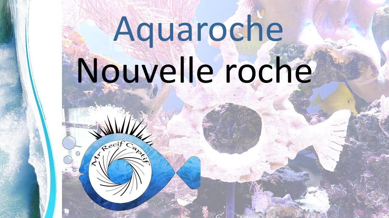 Aquaroche sur mesure pour mon récifal - Mr Recif Captif #325