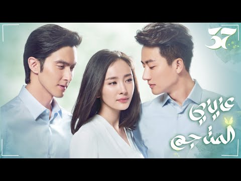 المسلسل الرومانسي عزيزي المترجم Dear Translator حلقة 37 نوع رومانسية في مكان العمل علاقة سرية