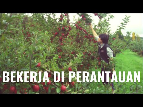 Video: Petua Untuk Menjadikan Penginapan Anda Di Luar Negara Lebih Mudah