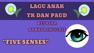 LAGU ANAK TK DAN PAUD BELAJAR BAHASA INGGRIS " FIVE SENSES " screenshot 5