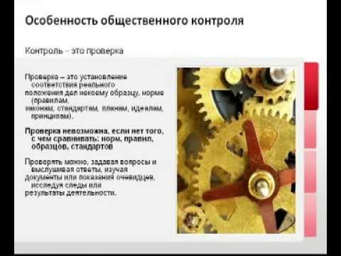 Что такое общественный контроль и чем он может быть полезен