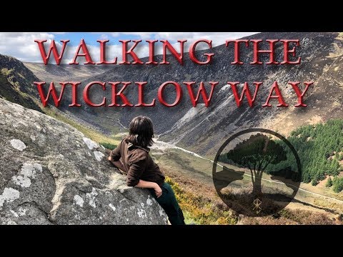 Video: Wie wird man einen Wicklow los?