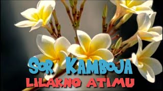 Download Lagu 𝙆𝙞𝙙𝙪𝙣𝙜 𝙟𝙖𝙬𝙖 𝙨𝙚𝙙𝙞𝙝 || 𝙎𝙤𝙧 𝙆𝙖𝙢𝙗𝙤𝙟𝙖 MP3