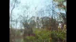 Just A Lil Piece Of West Virginia Mountain Mama