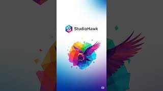 Studiohawk - Why An Seo Agency Offers Web Design Ppc The Pragmatic Approach