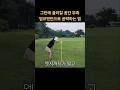 골프숏게임을 잘하게 하는  창의적인 공략법