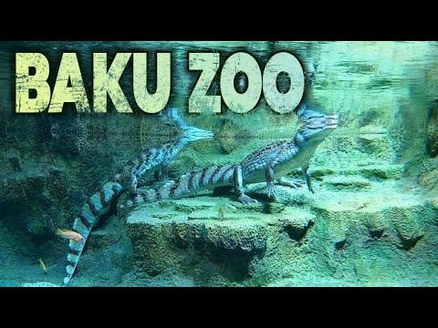 Baku Zoo, Azerbaijan