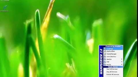 How to use wampserver as a live server in LAN connection for windows os