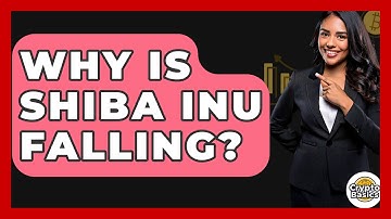 Why Is Shiba Inu Falling? - CryptoBasics360.com