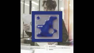 Andrey Pushkarev Selects : Jay Tripwire - You Can't Escape Thad Red (Terry Francis Remix) [Marble]