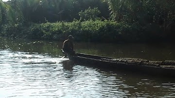 Barisan Pohon Nipah Sepanjang Sungai Parid Ujungmanik