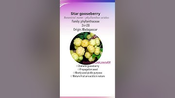 #botanical #classification of #fruit #agriculture #examtarget #bestmaterial #jrf #srf #icar #allexam