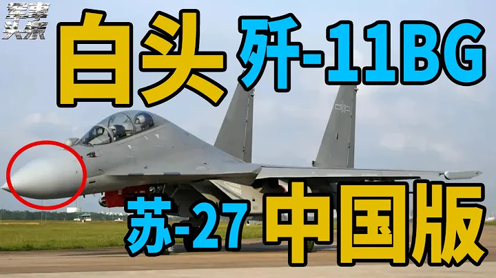 最好的苏-27！白头歼-11再次亮相， 它是中国最低调的一款战机，但实力不容小觑！ - 天天要闻