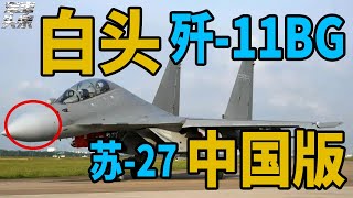 最好的苏-27！白头歼-11再次亮相， 它是中国最低调的一款战机，但实力不容小觑！