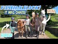 JOIN US ON A FAMILY HACK WITH THE PONIES IT WAS CHAOS JOIN US ON A FAMILY HACK WITH THE PONIES IT WAS CHAOS
