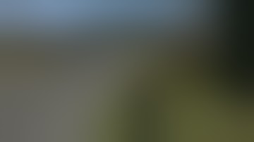 DayZ 0.60  Invisible Zombie encounter @ NWA