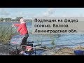 Подлещик на фидер осенью. Волхов. Ленинградская обл.