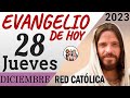 Evangelio de Hoy Jueves 28 de Diciembre de 2023 | REFLEXIÓN | Red Catolica