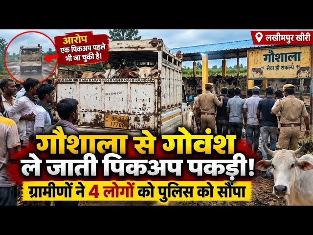 गौशाला के अंदर आखिर क्या हो रहा था? ग्रामीणों ने पिकअप पकड़ी तो मचा हड़कंप!