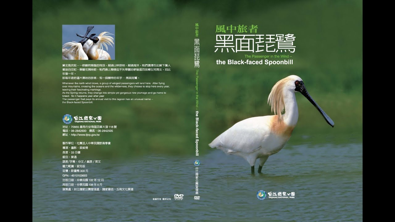 【台江】風中旅者 - 黑面琵鷺 (中文版完整版)