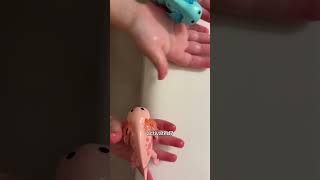 How COOL are these Swimming Axolotls?!