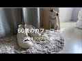 60歳の大人カジュアルコーデ｜休日カフェスタイル vlog #2