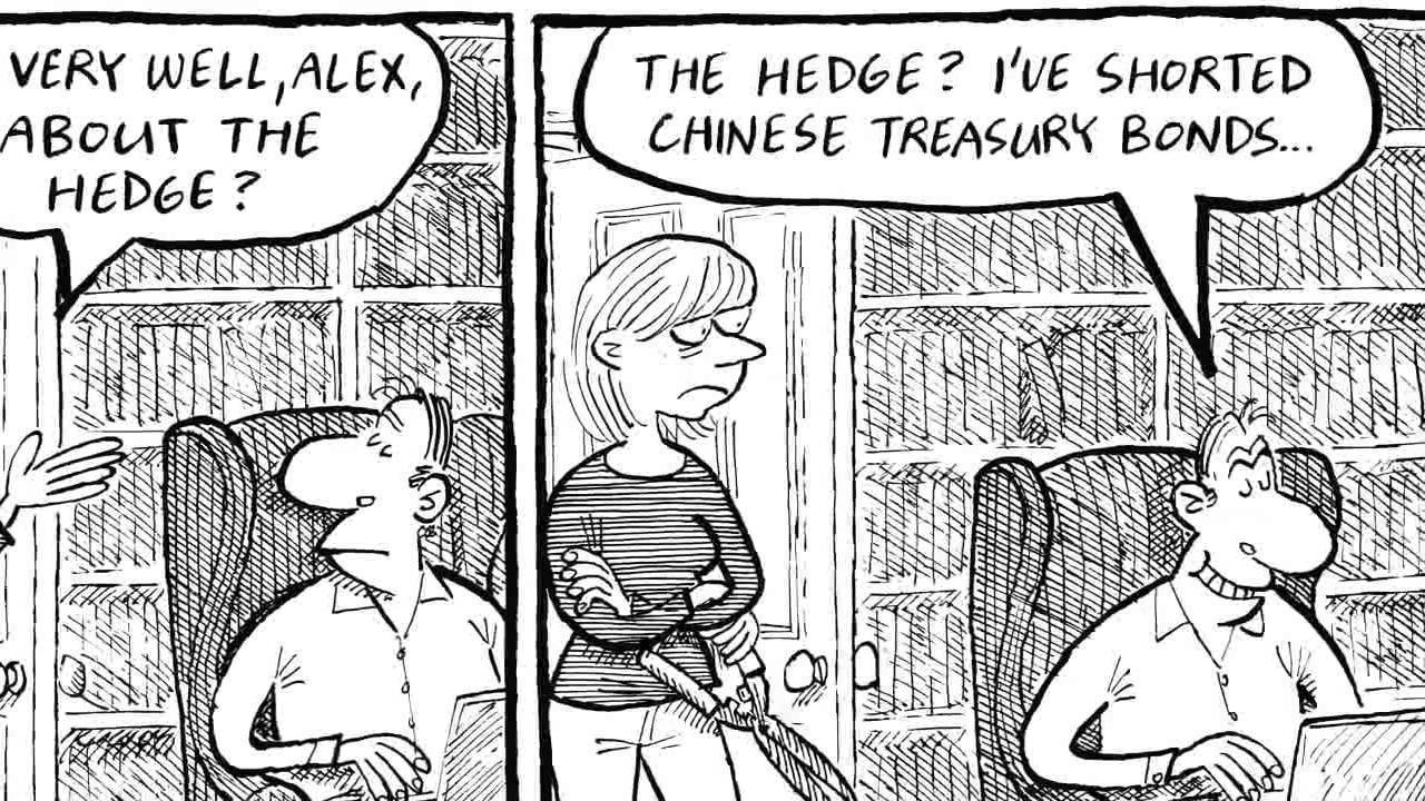 Alex cartoon: What about the hedge? - YouTube