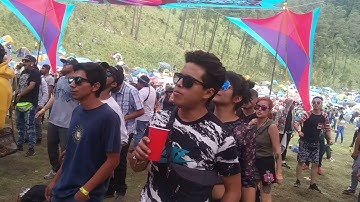 Perplex - Precious (Mikology 2019)