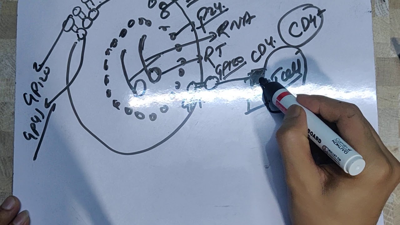 HIV/AIDS pathogenesis disease and immunity in Nepali - YouTube