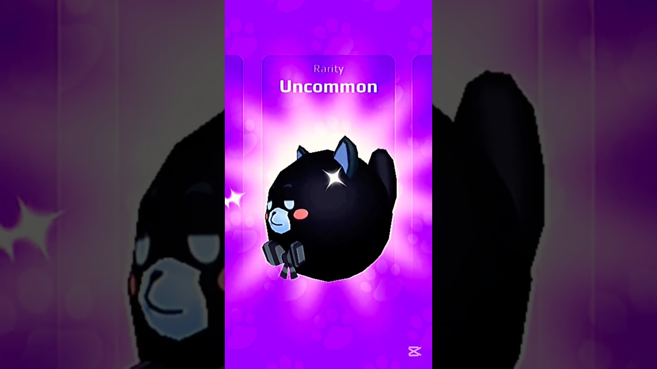 Super pet pods in pk xd😻 