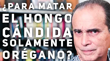 ¿Cuánto tiempo se tarda en matar de hambre a la cándida?