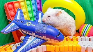 The Best Hamster Challenges 😱 - Hamster Prison Maze Escape🛑Live Stream #5